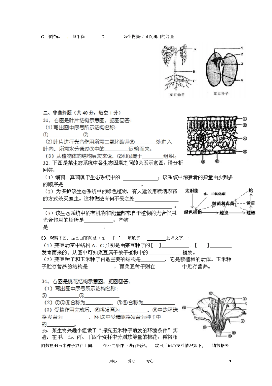 湖南广益试验七年级生物上学期期末考试试题人教新课标版_第3页