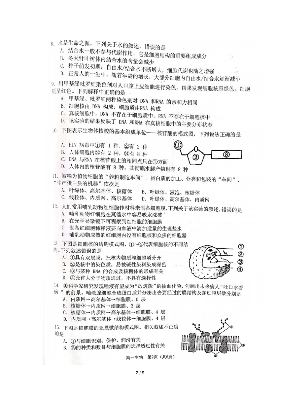 湖南衡阳2018_2019学年高一生物上学期期末考试试卷扫描版_第2页