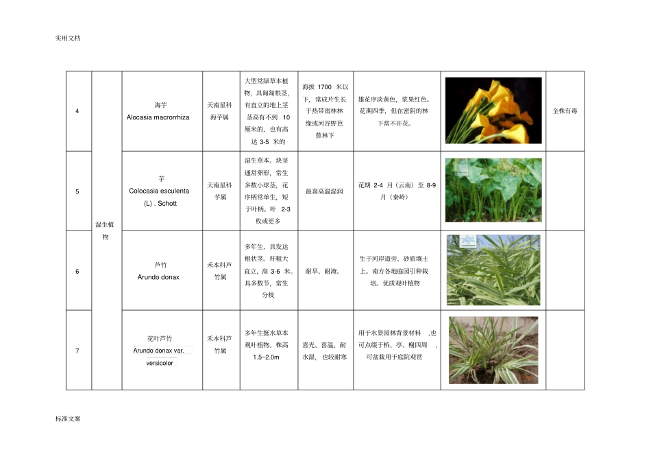 湿地适宜种植植物1117_第2页