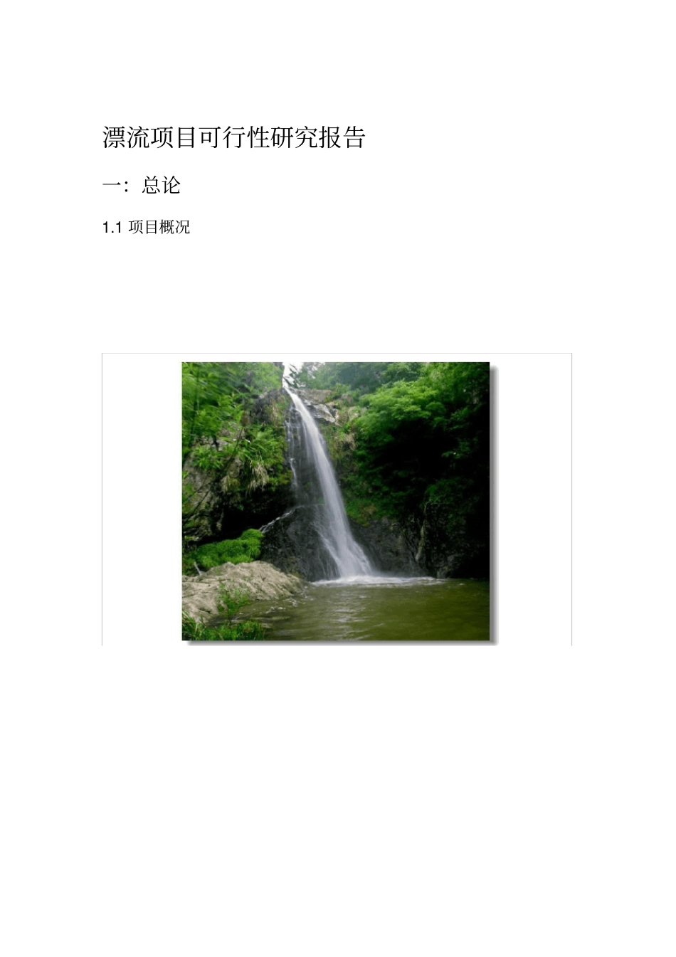 漂流项目可行性研究报告_第1页