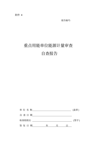 点用能单位能源计量审查自查报告