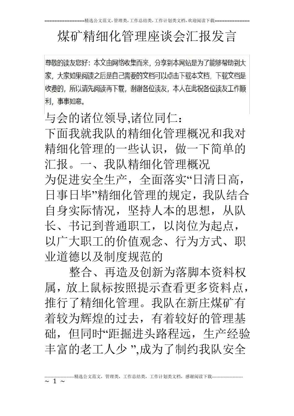 煤矿精细化管理座谈会汇报发言_第1页
