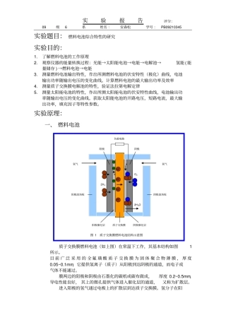 燃料电池综合特性研究