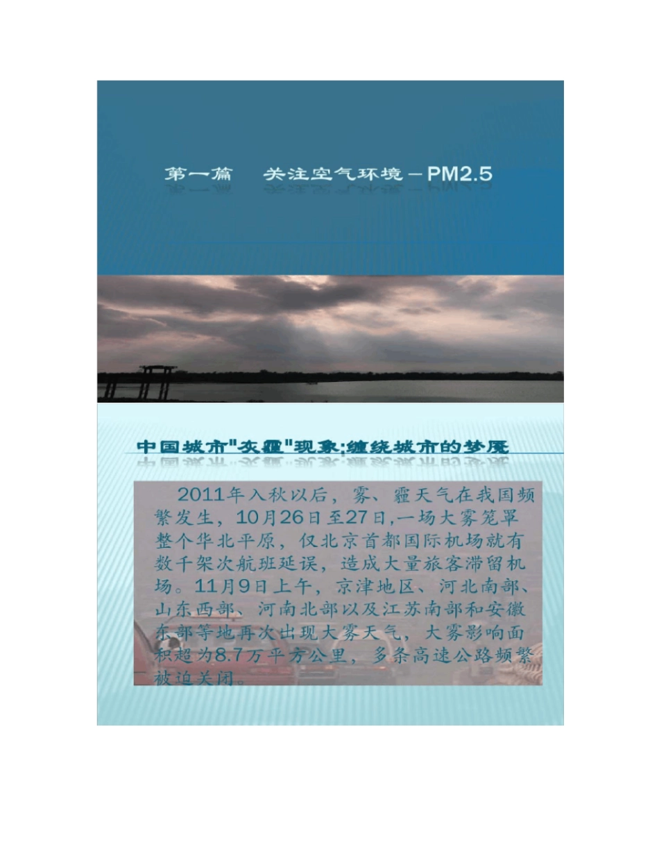 熔喷聚丙烯驻极过滤材料_第2页