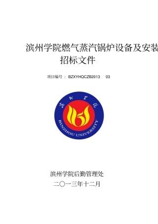 燃气蒸汽锅炉招标文件