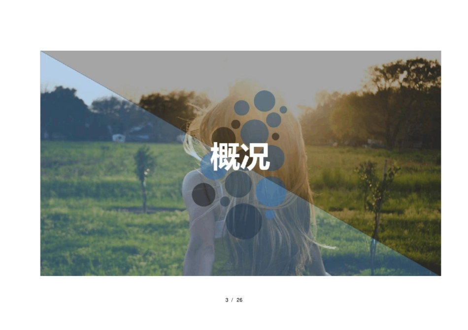 物流园区智慧监控综合解决方案_第3页