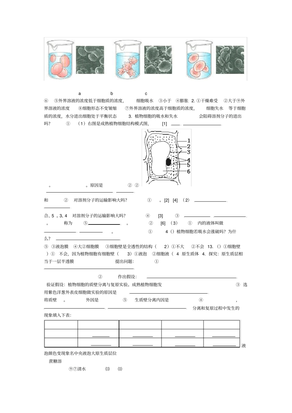 物质跨膜运输的实例导学案_第3页