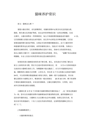 猫咪养护常识