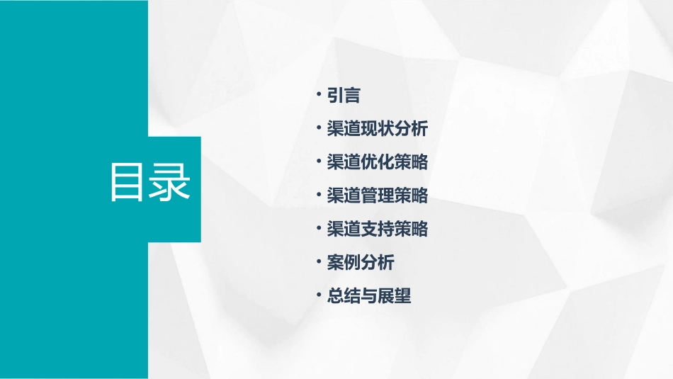 渠道优化拟案课件_第2页