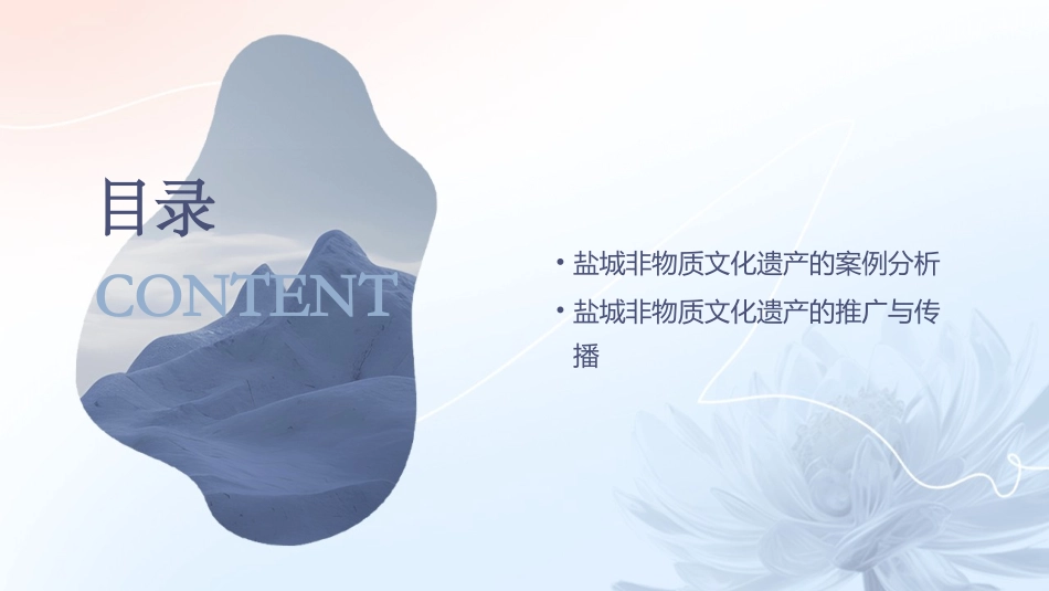 盐城非物质文化遗产剖析课件_第3页