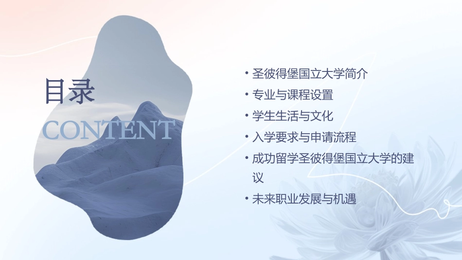 俄罗斯圣彼得堡国立大学讲诉课件_第2页