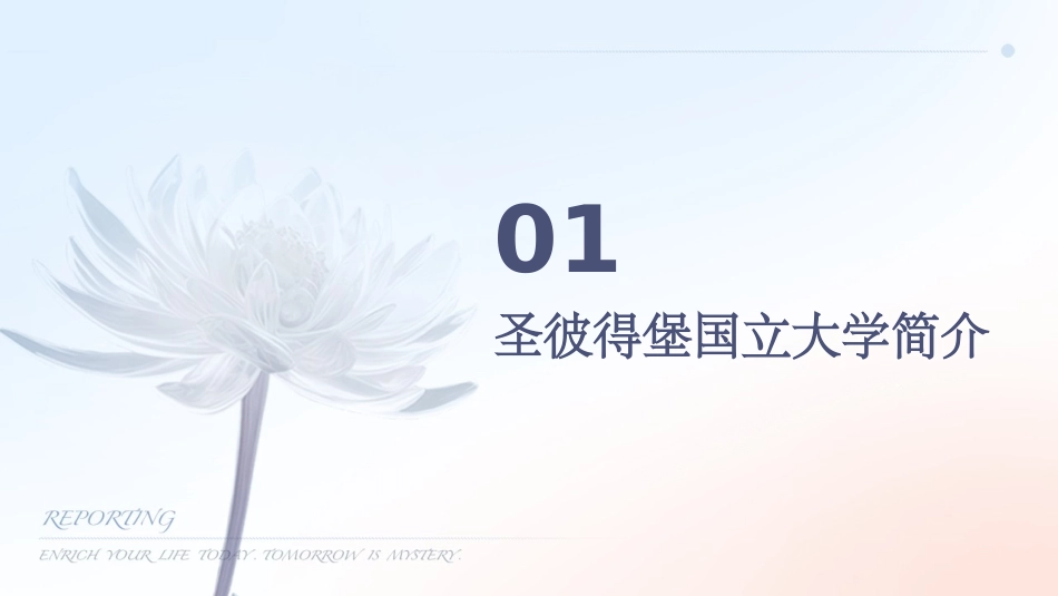 俄罗斯圣彼得堡国立大学讲诉课件_第3页