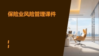 保险业风险管理课件