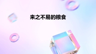 来之不易的粮食课件