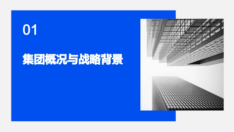 某著名多元化集团战略规划制定及实施报告课件_第3页