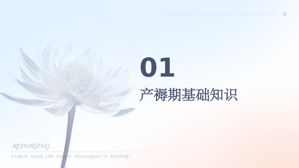 产褥期护理课件_第3页