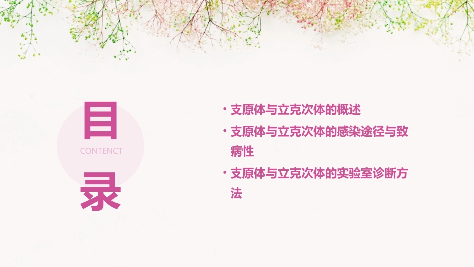 学支原体立克次体课件_第2页