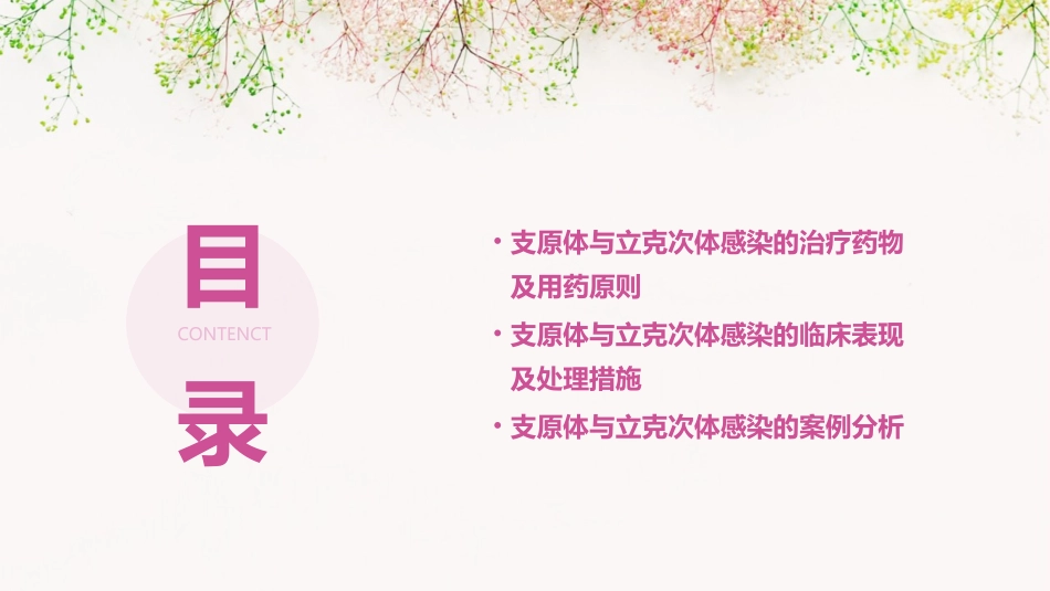 学支原体立克次体课件_第3页