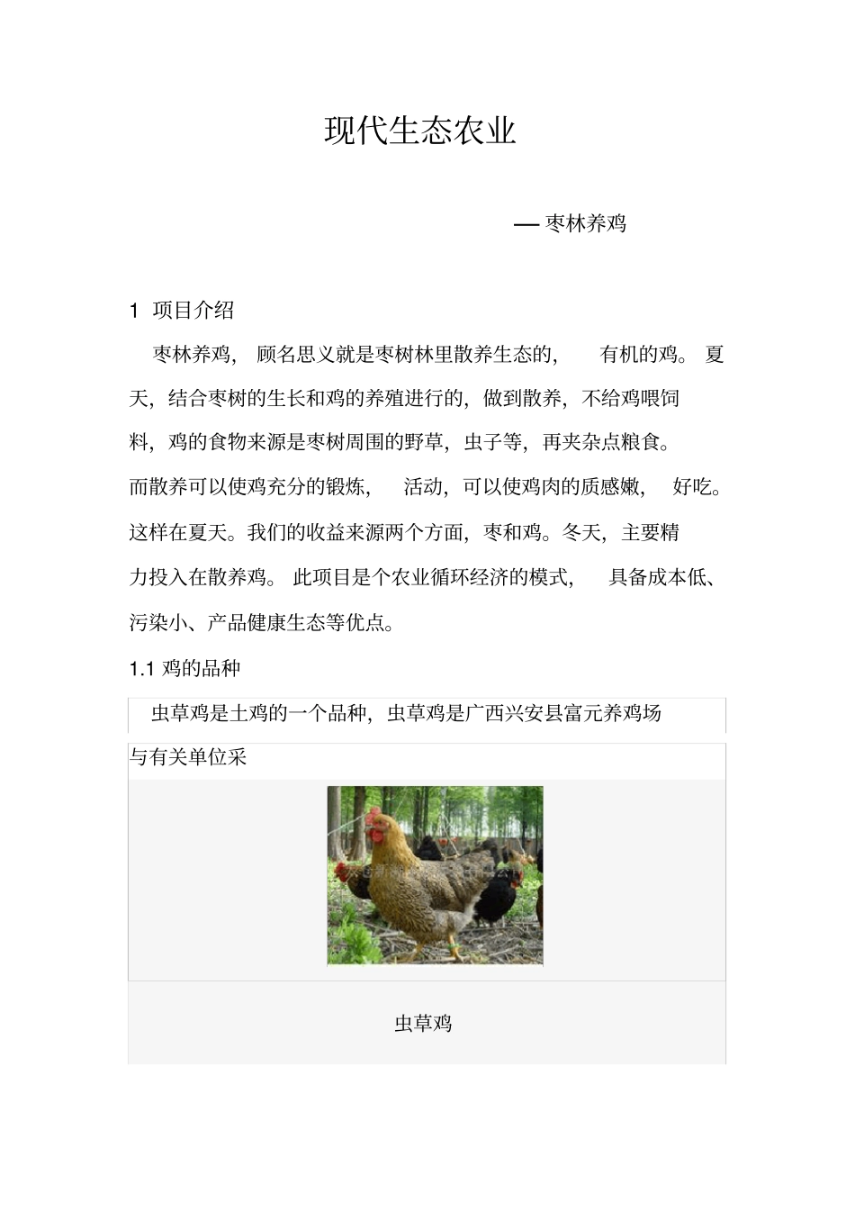现代生态农业-枣林养鸡_第1页