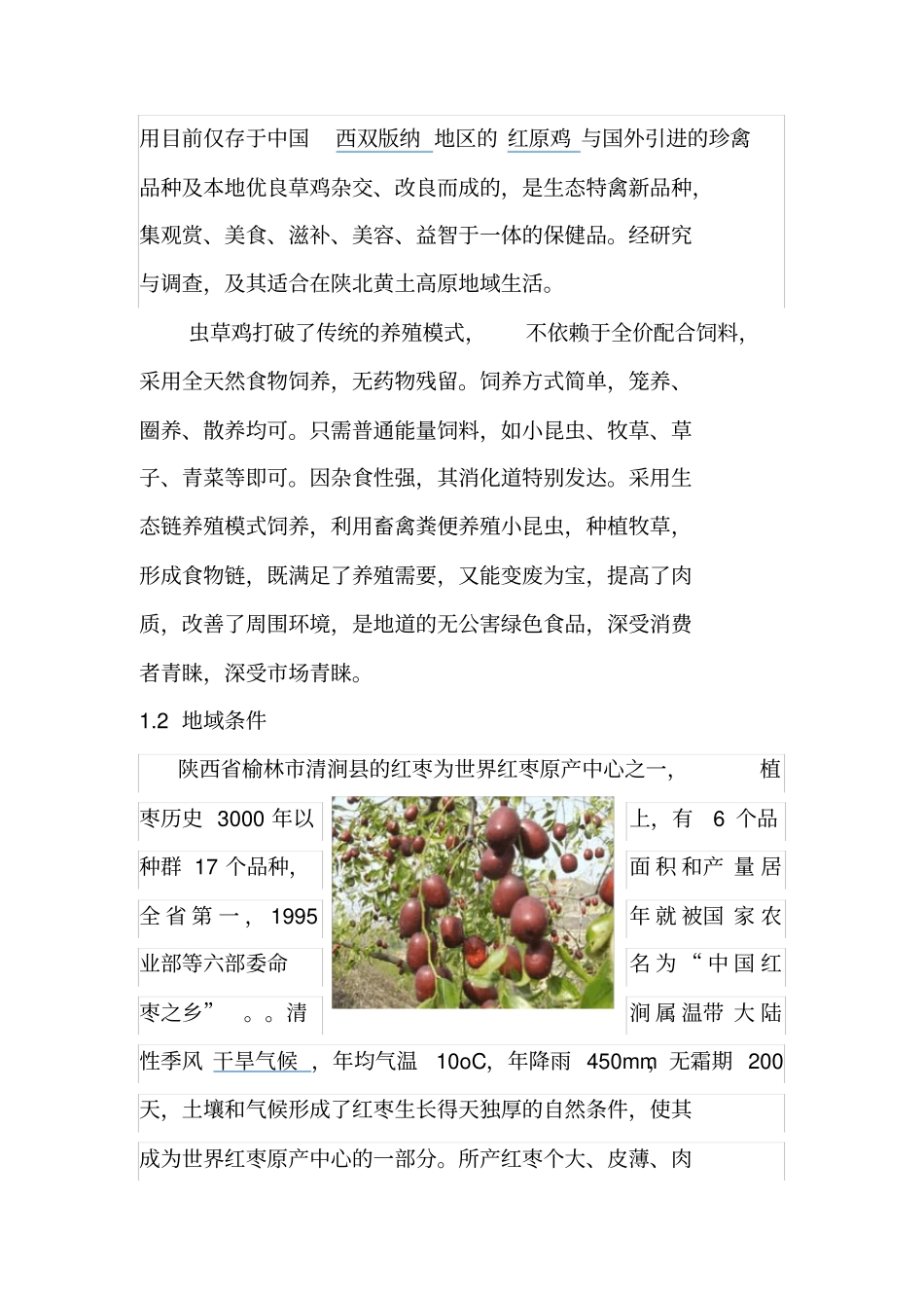 现代生态农业-枣林养鸡_第2页