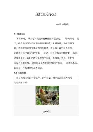 现代生态农业-枣林养鸡