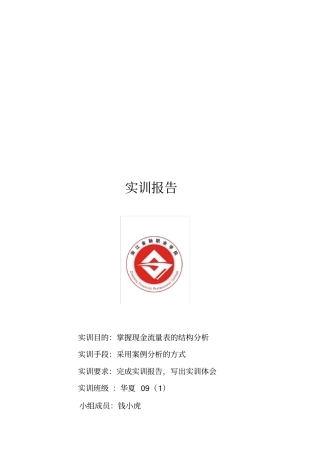 现金流量表分析实训报告