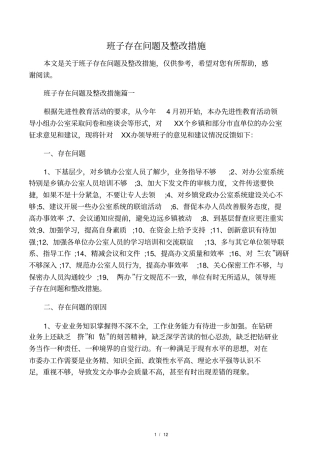 班子存在问题及整改措施