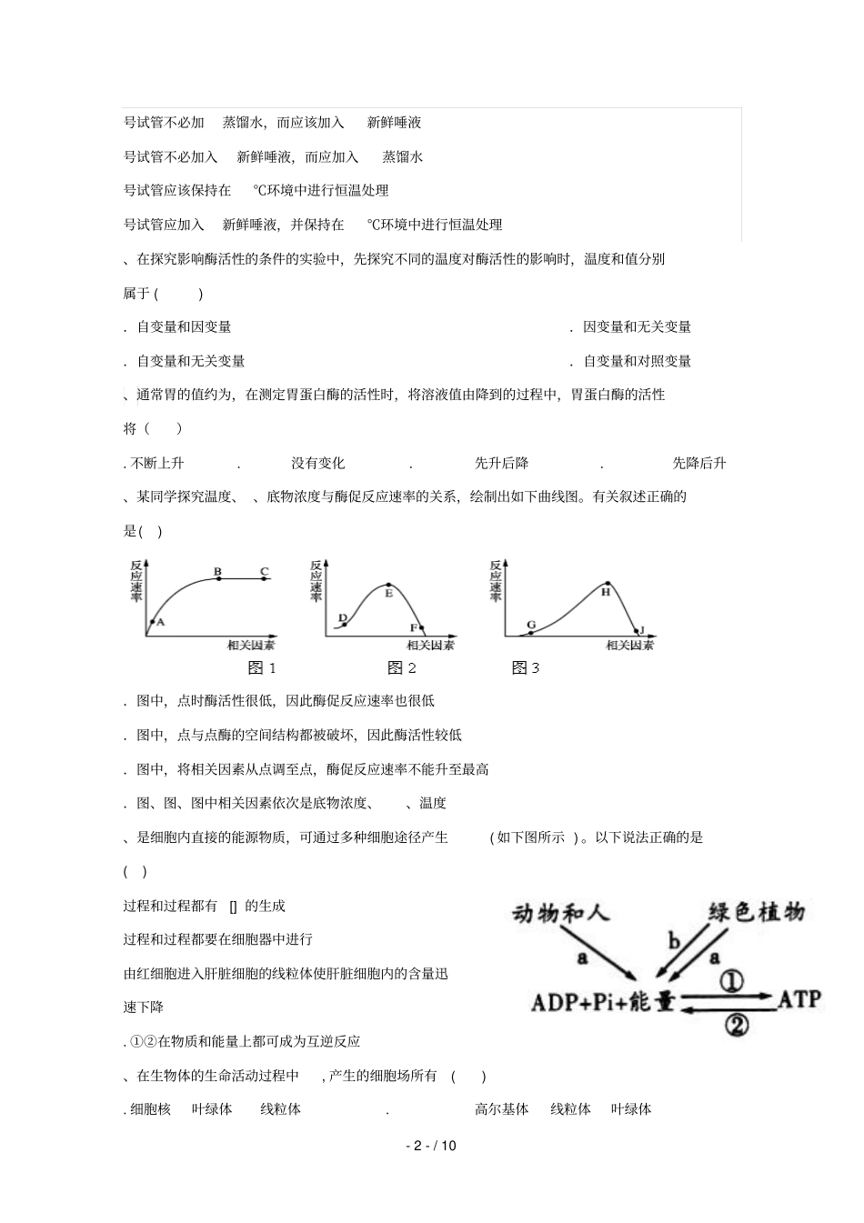 甘肃会宁第一中学2018_2019学年高一生物下学期期中试题201905210155_第2页