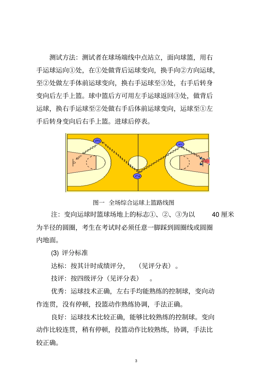 甘肃体育高考大纲设计_第3页