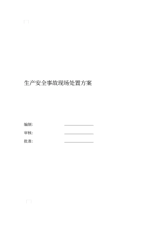 生产安全事故现场处置方案