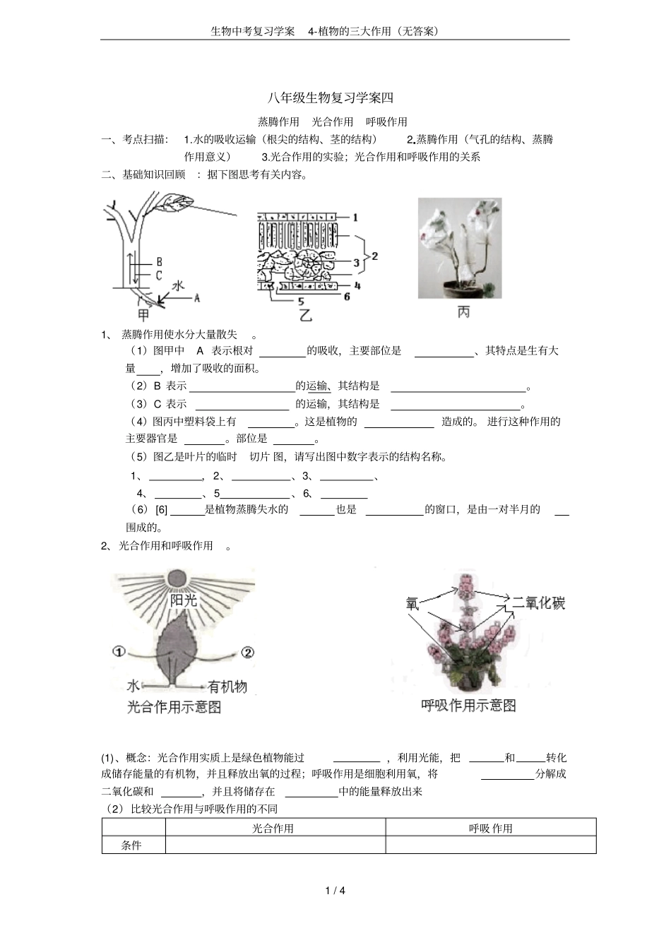 生物中考复习学案植物的三大作用无答案_第1页