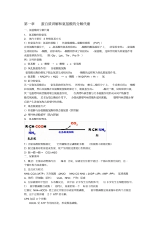 生物化学复习下册