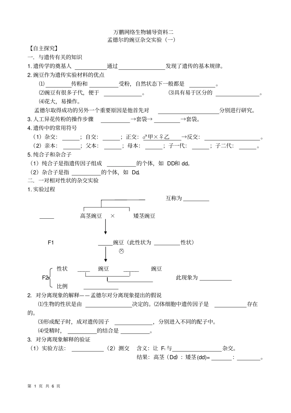 生物必修二孟德尔的豌豆杂交试验一练习题_第1页