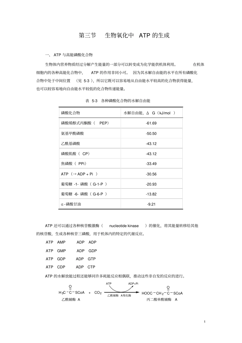 生物氧化中ATP的生成_第1页
