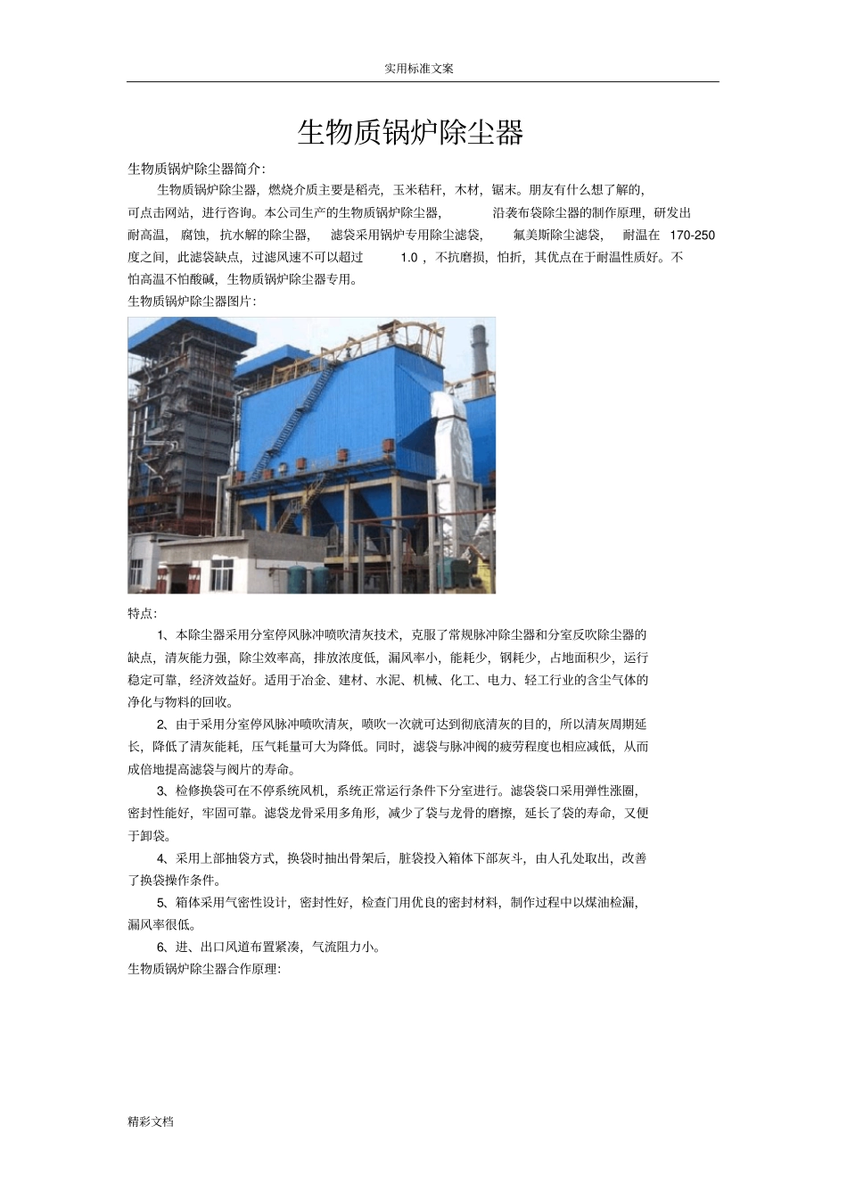 生物的质锅炉除尘器_第1页