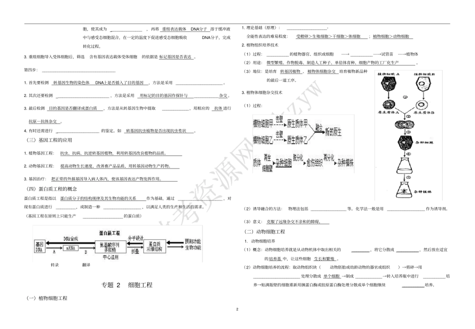 生物选修3专题1基因工程知识点复习学案_第2页