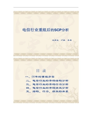 用SCP框架分析电信产业讲解