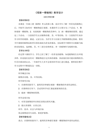 《观察一棵植物》教学设计