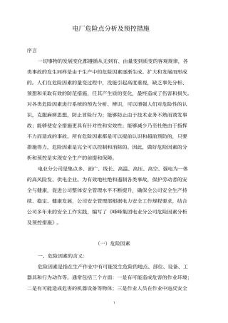 电厂危险点分析及预控措施电力协会讲解