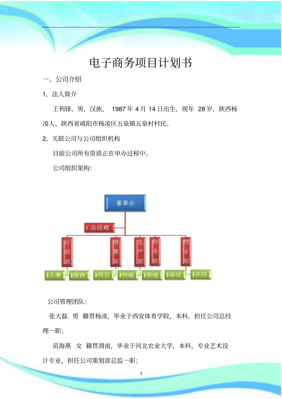 电商项目计划书_第3页