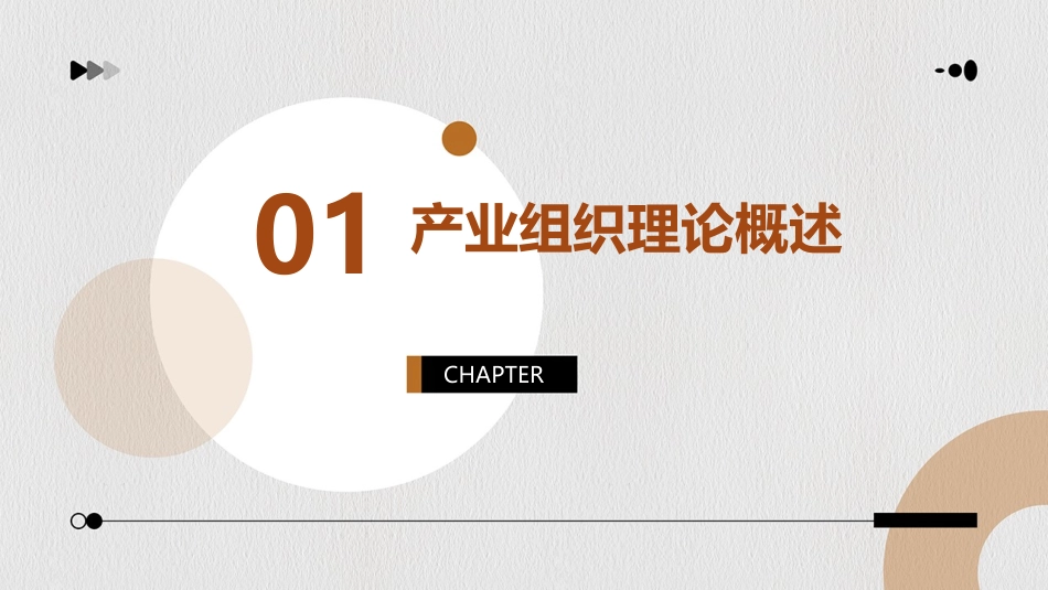产业组织与分析课程课件_第3页