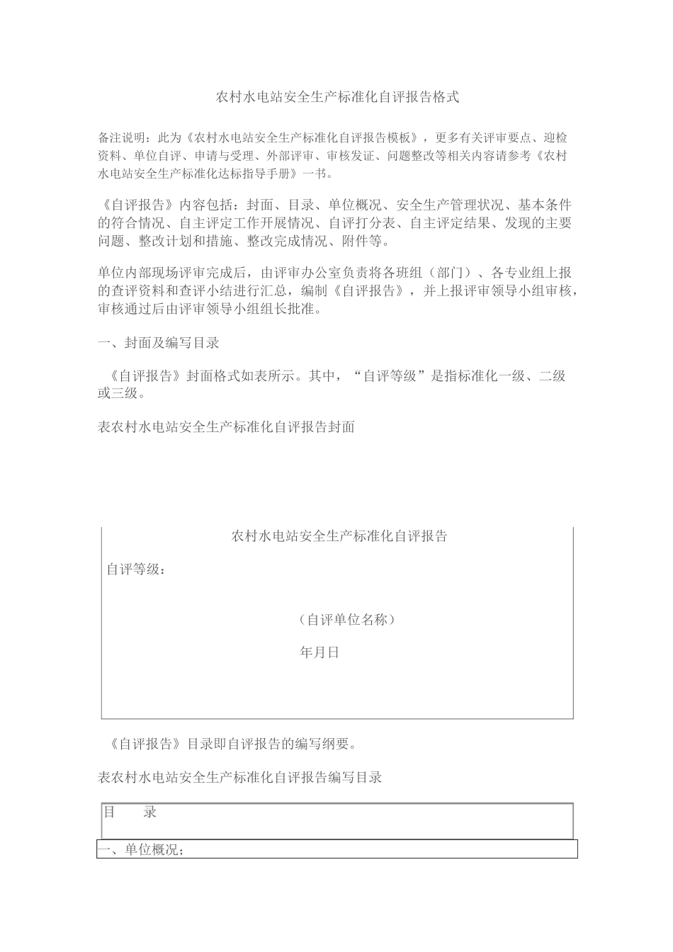 农村水电站安全生产标准化自评报告(模板)_第1页