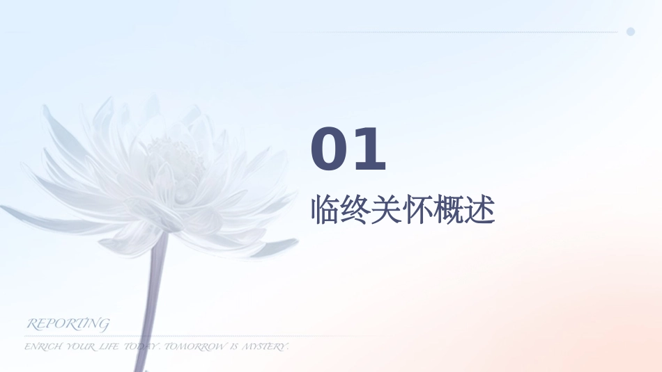 临终关怀护理培训课件_第3页