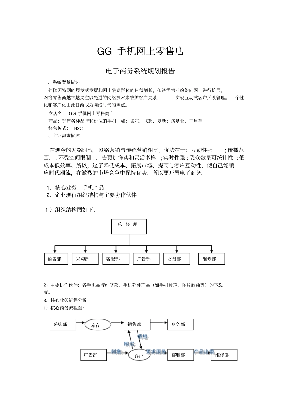 电子商务系统规划报告_第1页
