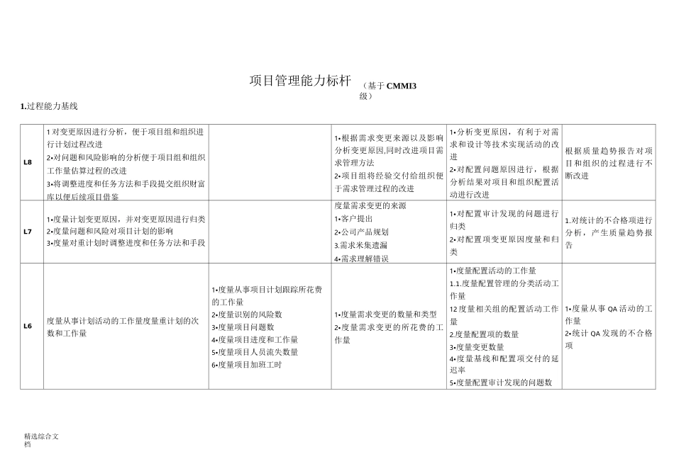 项目管理能力_第1页