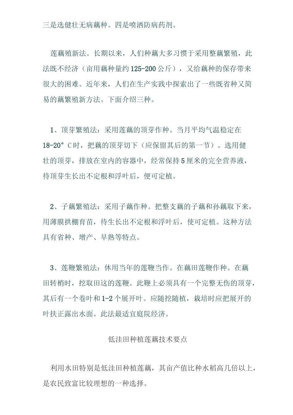 新型水田种藕技术全解_第2页