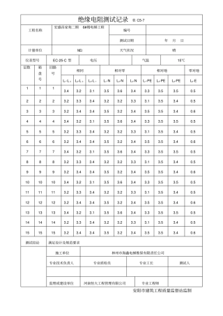 电梯绝缘电阻测试记录簿表