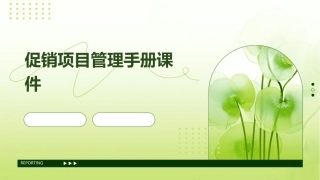 促销项目管理手册课件