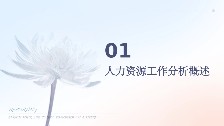 人里工作分析课件_第3页