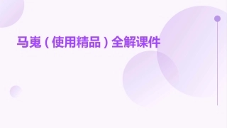 马嵬(使用精品)全解课件